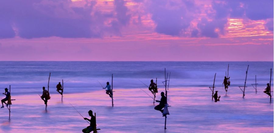 Viaggi organizzati in Sri Lanka