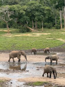 Repubblica Centrafricana