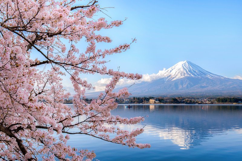 Tour di gruppo Hanami e Alpi in Giappone, viaggio con guida